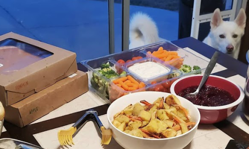 husky thanksgiving